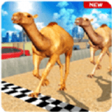 沙漠駱駝模擬器 v1.2安卓版