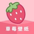 草莓壁纸 v1.7.0安卓版
