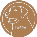 Labrador币 V1.7