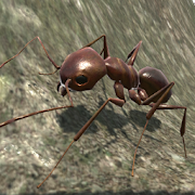 3d蚂蚁模拟器V3.3.4安卓版