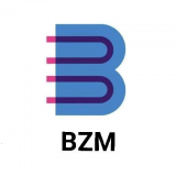 bzm在线 v1.1.2安卓版