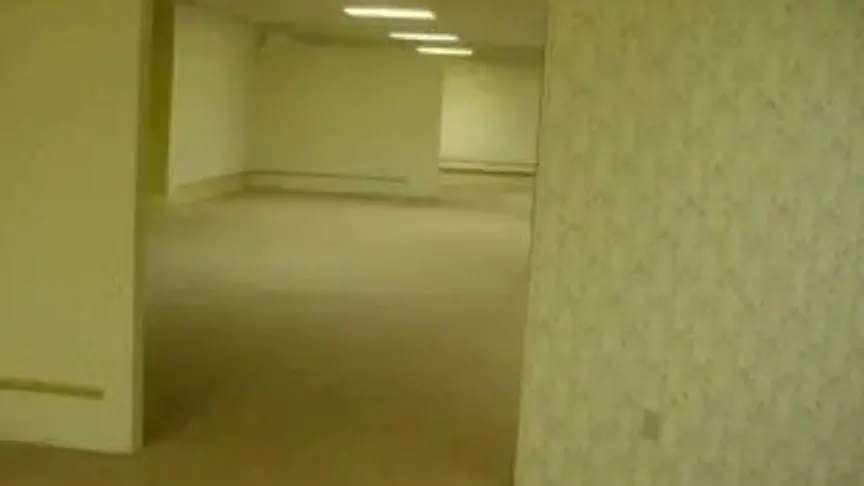 后室系列游戏