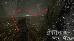 光与影33号远征队玛埃尔重菱刺怎么获取