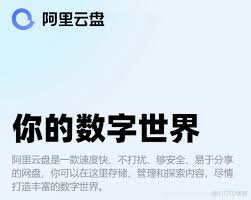 阿里云盘内测用户永久容量变公测后送会员怎么处理