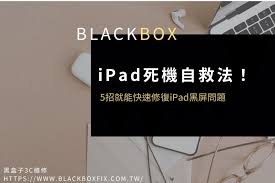 iPad黑屏怎么办
