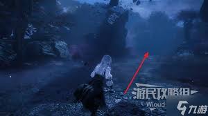光与影33号远征队所选之路怎么探索