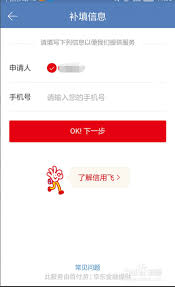 信用飞如何提升额度
