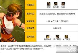 DNF女柔道人造神团本怎么加点