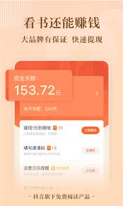 番茄免费小说无法加载
