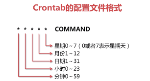 定时任务配置每周日执行不生效怎么办