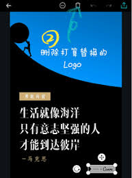 Canva可画水印怎么删除