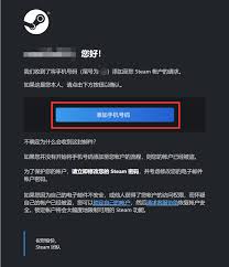 手机版steam如何获取电子邮箱地址