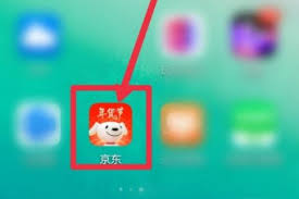 如何进入京东大药房
