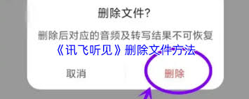 讯飞听见如何删除文件