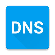 Pure DNS 1.60