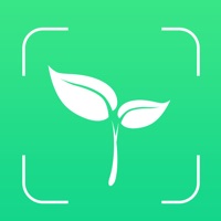 植物識別蘋果版 v1.3