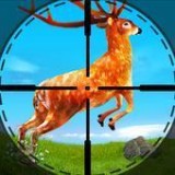 野生鹿猎人动物狩猎 v1.6