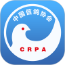 中国信鸽协会 v2.2.4