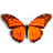 全屏蝴蝶飞舞动态壁纸Butterfly On Desktop v1.93