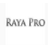 raya pro(ps扩展面板插件) v1.5