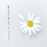 雏菊的二维世界苹果版 v1.4