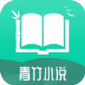 青竹小說 v21.2.7安卓版