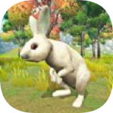 宠物兔模拟器 v1.11安卓版