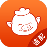 猪八戒速配版 v1.0.0安卓版