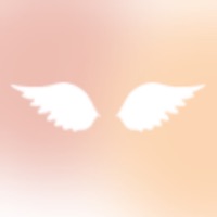 天使之眼助盲蘋果版 v1.0