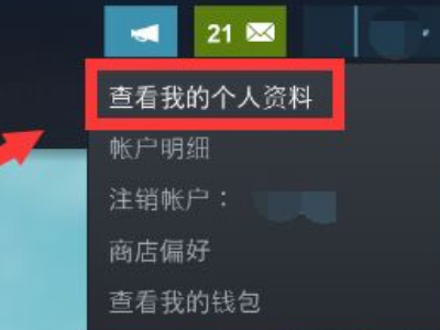 steam动态隐藏怎么打开