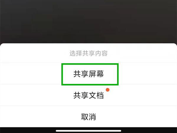 钉钉视频会议怎么共享屏幕画面