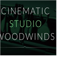 Cinematic Studio Woodwinds v1.2