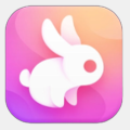 小白兔AI工具箱 v1.0
