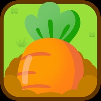 兔子种萝卜苹果版 v1.0