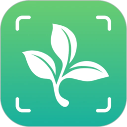 植物大师 v1.0.0安卓版