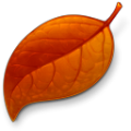 秋落叶时间同步器 v1.0