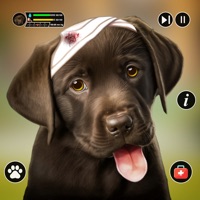 狗模拟器宠物庇护所苹果版 v1.0.2