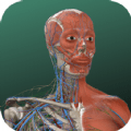 万康人体解剖 v3.0.3