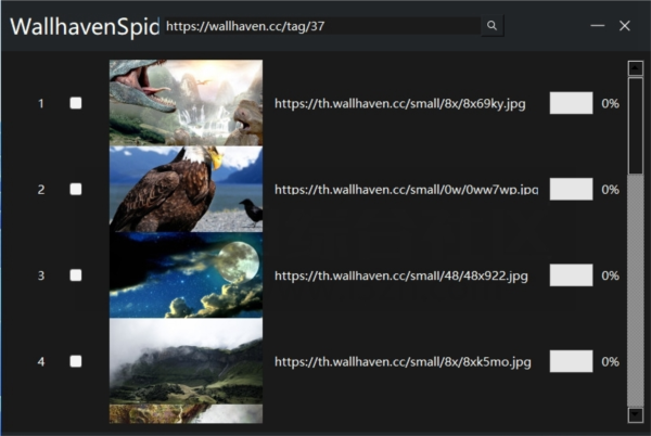 WallhavenSpider图片4