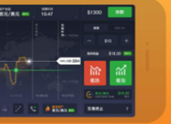 iq option app下载 iq option app安卓版下载v7.0.1