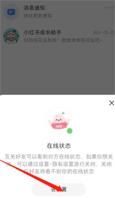 小红书怎么更改在线状态