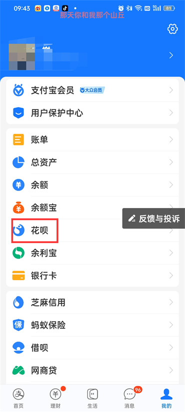 支付宝怎么调整花呗额度
