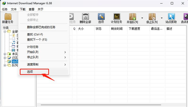 Internet Download Manager图片3