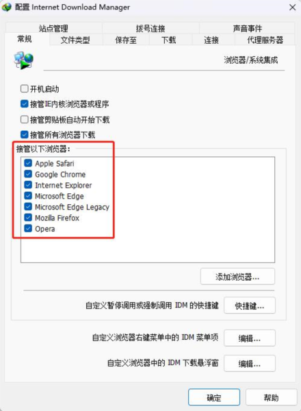 Internet Download Manager图片4