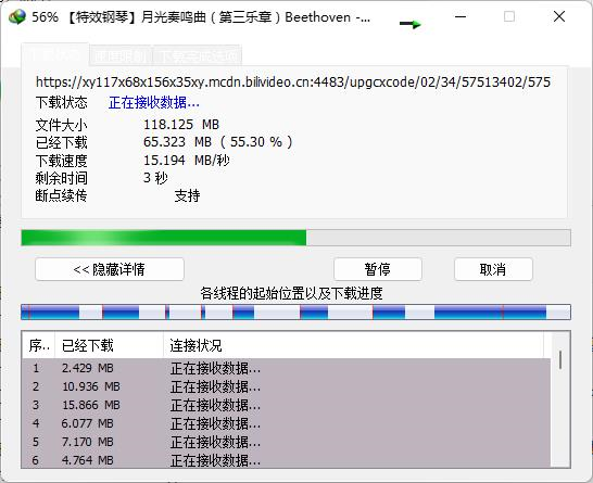 Internet Download Manager图片7