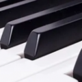 钢琴节奏器 v1.1安卓版
