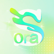 Sora视界 v1.1 安卓版