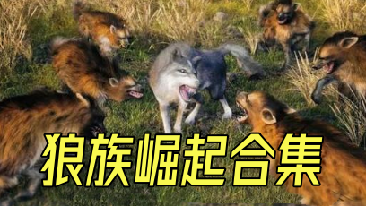 狼族崛起合集