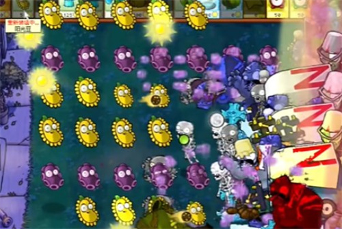 PVZ杂交版益智模式忧郁咖啡豆1过关流程分享