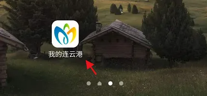 我的连云港驾驶证入口在哪